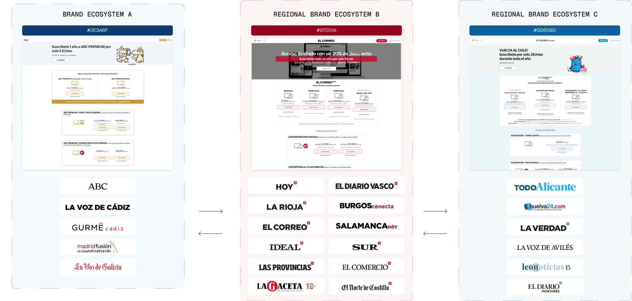 Fragmented multi-brand subscription ecosystem before unification